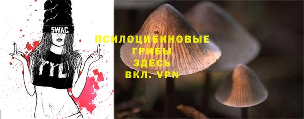 ПСИЛОЦИБИНОВЫЕ ГРИБЫ Аркадак