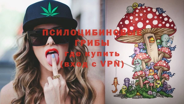 ПСИЛОЦИБИНОВЫЕ ГРИБЫ Аркадак