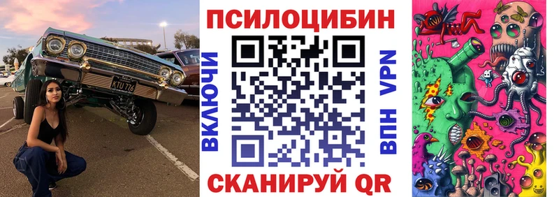 Галлюциногенные грибы Psilocybe  Бахчисарай 